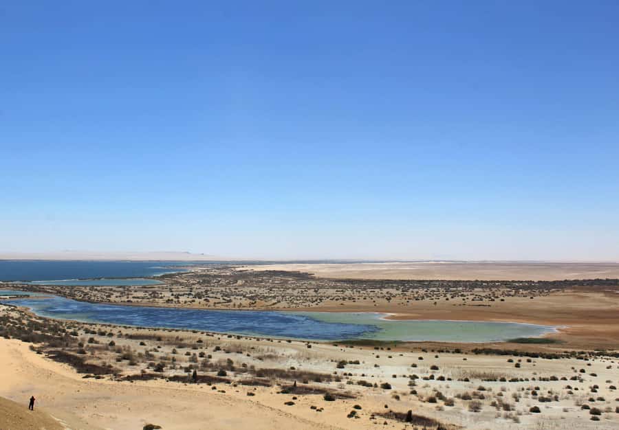 From Cairo: Full-Day Tour to El Fayoum - Desert drive time: the 4x4 safari you will judge the rest of the day against