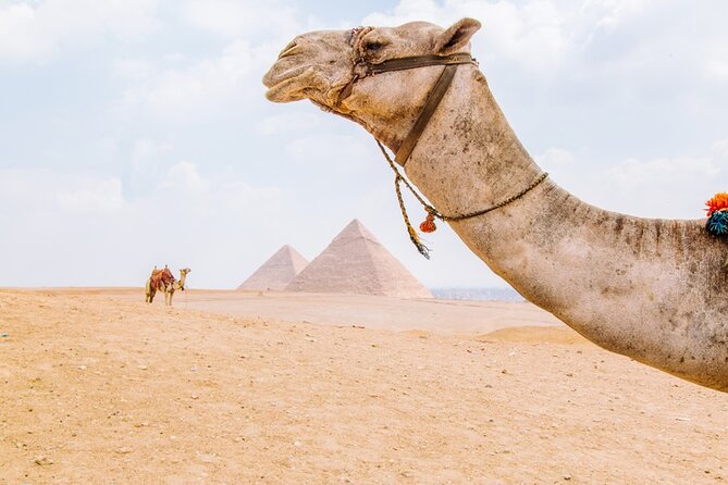 From Cairo: Private Crowd Free Half Day Pyramids Adventure - Early 7:30 a.m. at Giza, and why it matters so much