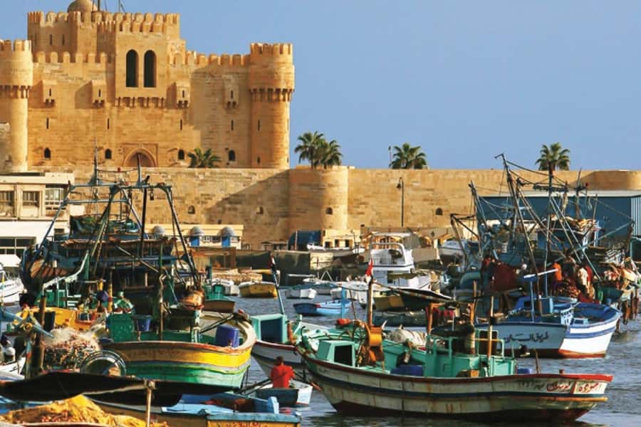 From Cairo: Private Full-Day Tour of Historical Alexandria - Cairo to Alexandria by private A/C, with a tight schedule you can manage