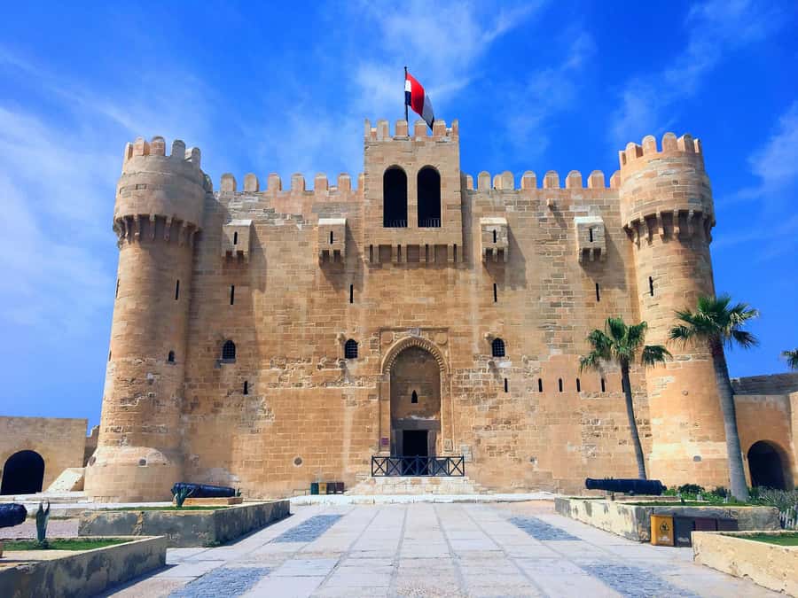 From Cairo: Private Full-Day Tour of Historical Alexandria - The Library of Alexandria stop, including the Friday closure reality