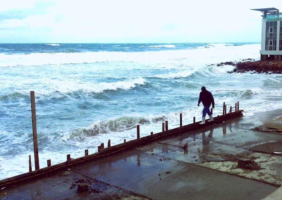 From Cairo: Private Luxurious Day Trip to Alexandria - Key Things I’d Watch Before You Book