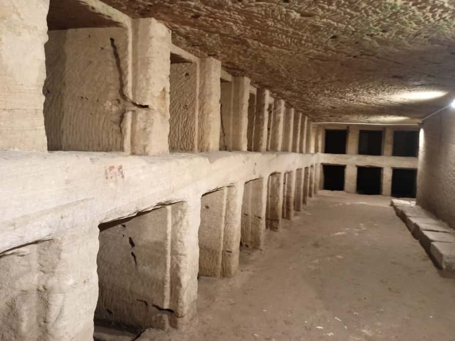 From Cairo: Private Luxurious Day Trip to Alexandria - The Value Question: Is $192 Per Person Fair?