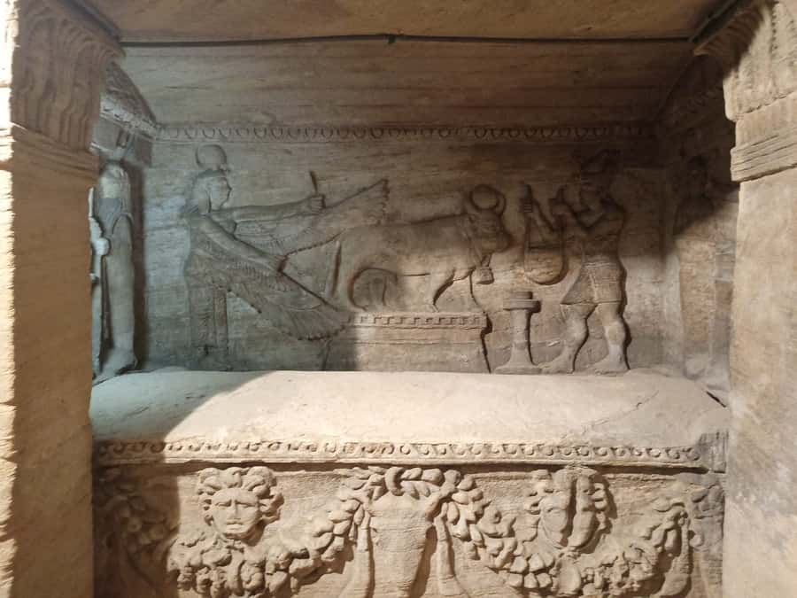 From Cairo: Private Luxurious Day Trip to Alexandria - Serapeum of Alexandria and the Roman Layer You Can Follow