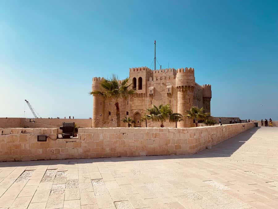 From Cairo: Private Luxurious Day Trip to Alexandria - Getting from Cairo: The Real “Itinerary” Is the Road