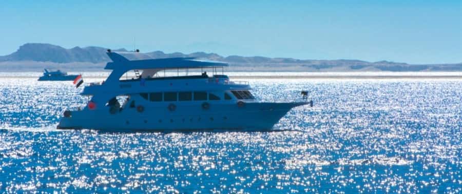From Cairo: Snorkeling Trip on Yacht with Lunch - Snorkeling from the yacht: how to get the most out of it