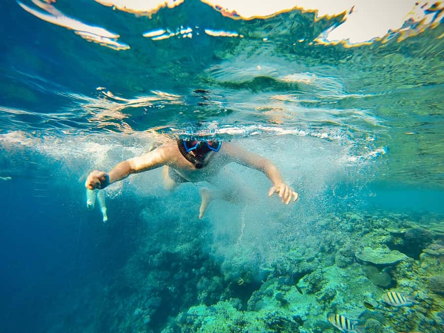 From Cairo: Snorkeling Trip on Yacht with Lunch - Getting on the water: what the yacht experience feels like