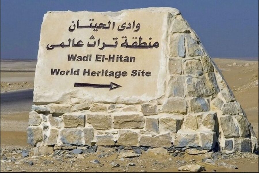 From Cairo: Whale Valley and Wadi El Rayan Waterfalls Tour - Key highlights worth planning for
