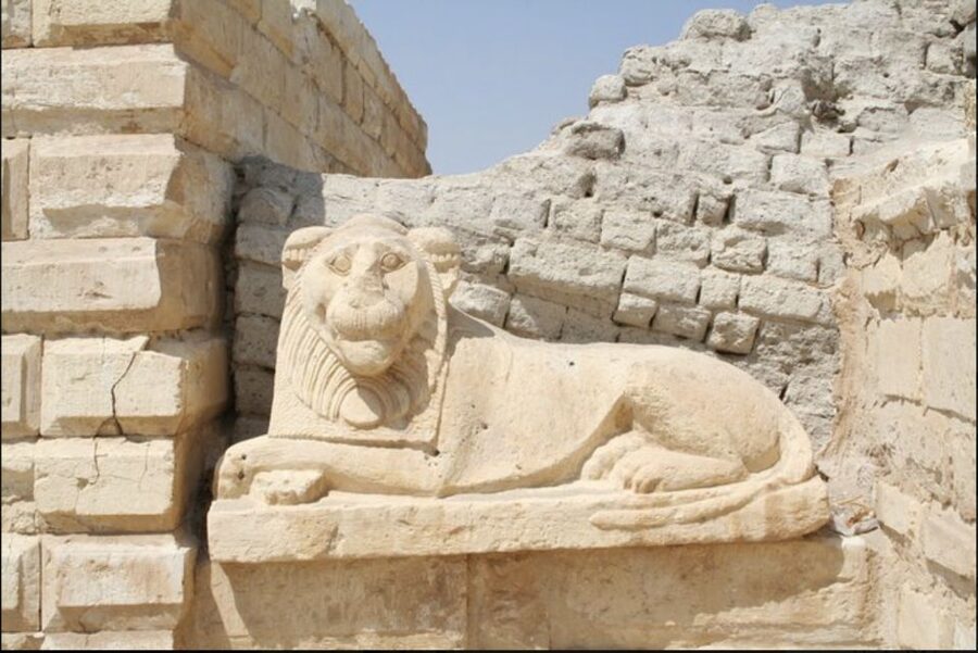 From Cairo: Whale Valley and Wadi El Rayan Waterfalls Tour - From Cairo to Fayoum: the desert drive that sets the tone