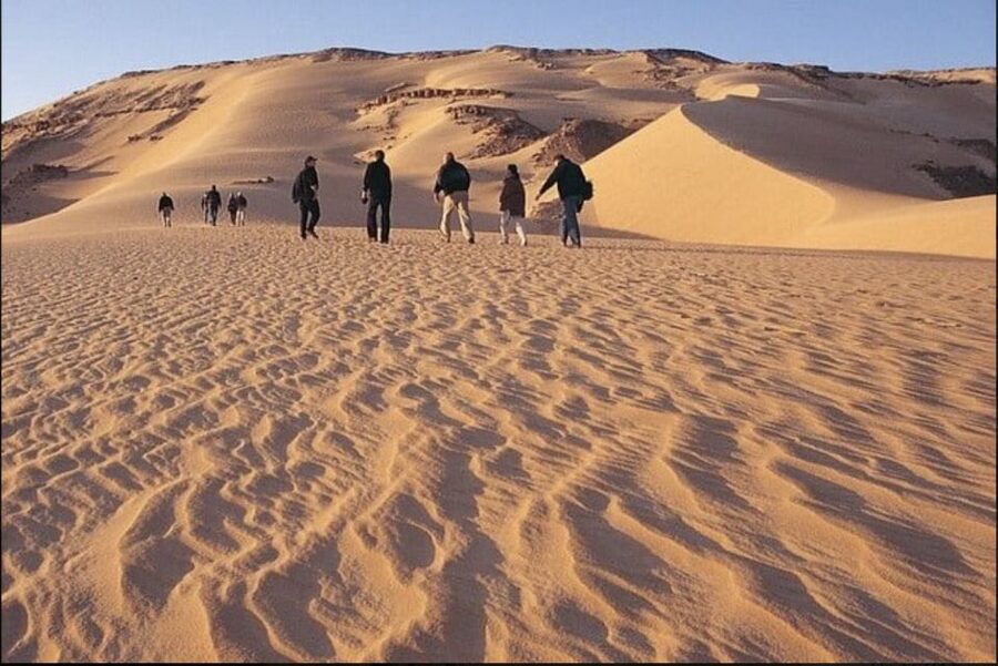 From Cairo: Whale Valley and Wadi El Rayan Waterfalls Tour - Qarun Lake: one of the world’s oldest natural lakes