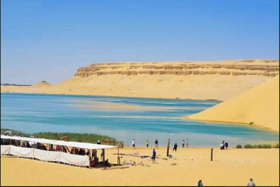 From Cairo: Whale Valley and Wadi El Rayan Waterfalls Tour - Lunch at a local camp: where the day slows just enough