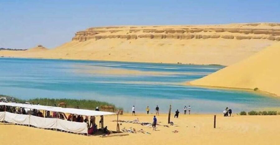 From Cairo: Whale Valley and Wadi El Rayan Waterfalls Tour - Tunis Village stop: a small cultural pause before the big nature hits