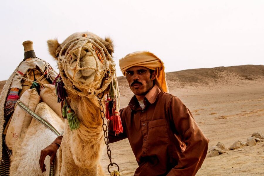From El Gouna: Dry Canyon Quad Bike Morning Tour - Key Things You Should Notice Before You Go