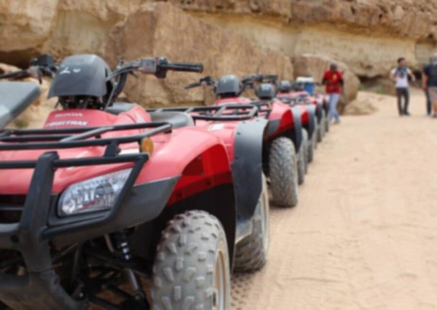 From El Gouna: Dry Canyon Quad Bike Morning Tour - Dry Canyon and Wadi Billy: Egypt’s fossil desert story