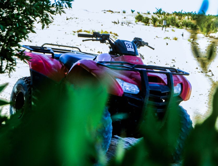 From El Gouna: Dry Canyon Quad Bike Morning Tour - Safety and comfort reality check: speed, equipment, and guide support