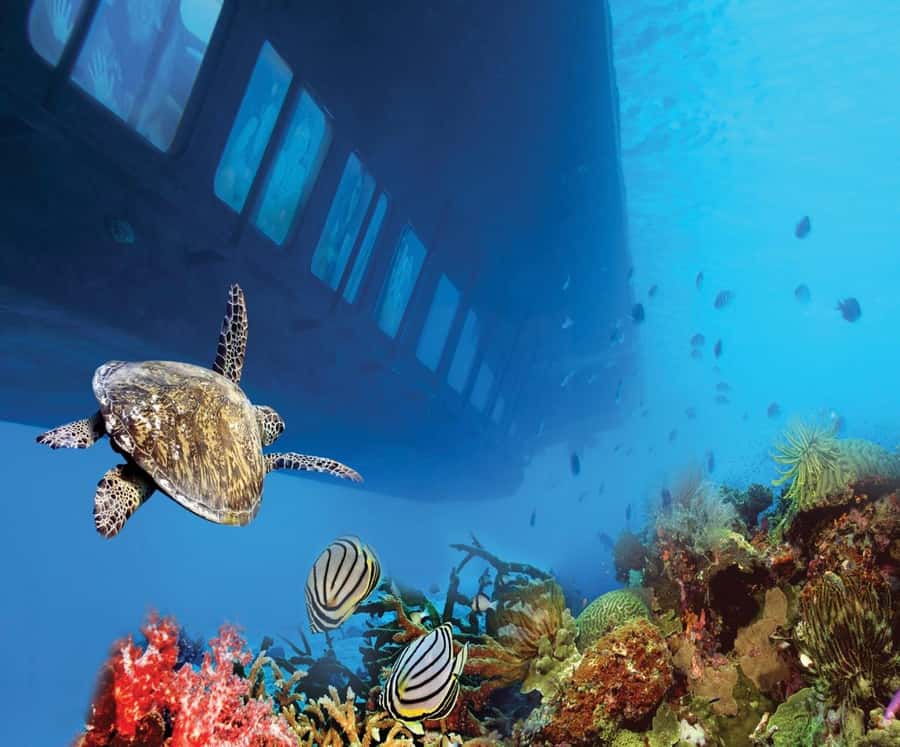 From El Gouna: Royal Seascope Submarine with Snorkel Stop - The Hurghada Marina start, and what the schedule feels like