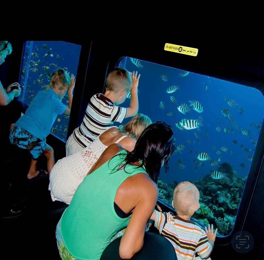From El Gouna: Royal Seascope Submarine with Snorkel Stop - Inside the submarine: air-conditioned views with big windows