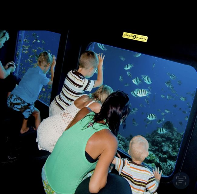 From El Gouna: Royal Seascope Submarine with Snorkel Stop - The snorkeling stop: quick water time, quick payoff