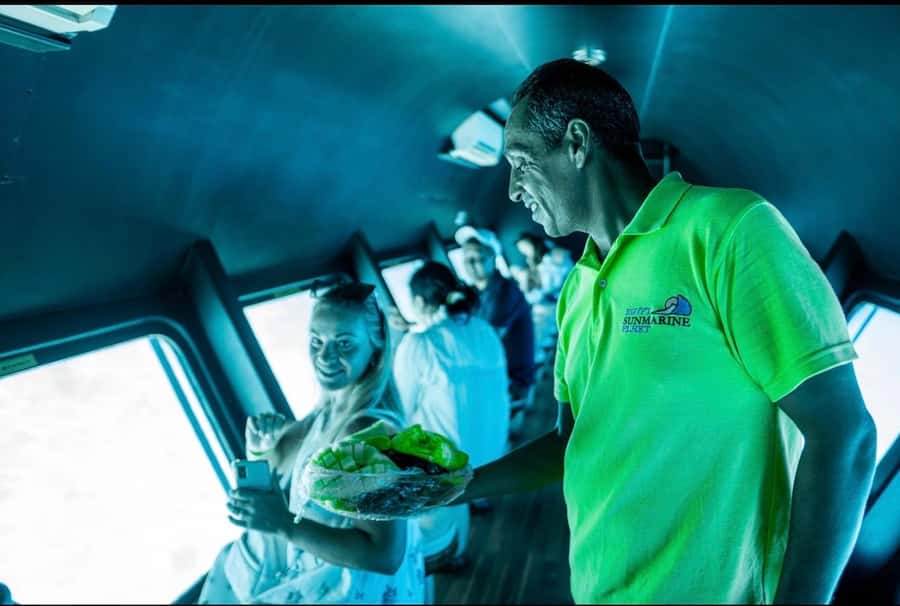 From El Gouna: Royal Seascope Submarine with Snorkel Stop - Dolphins: fun to hope for, not a promise
