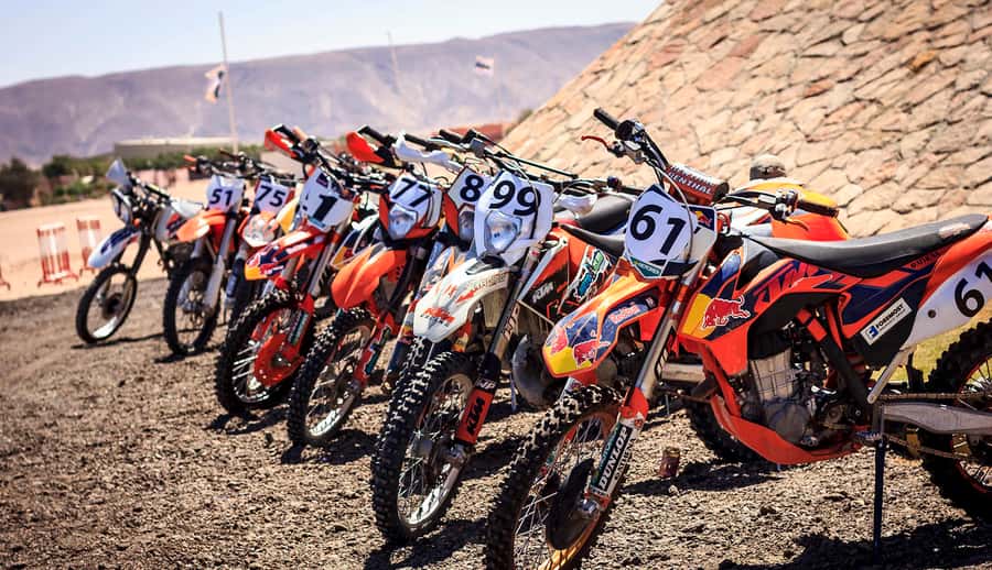 From Hurghada: El Gouna Quad and MX Bike Safari Tour - Instructor and group support: what English guidance helps with