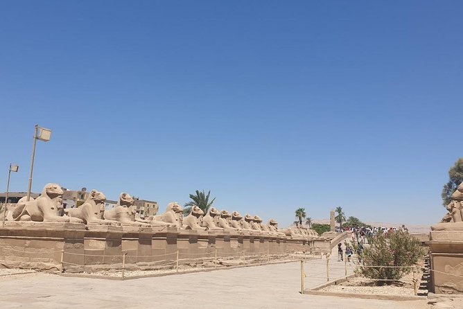 From Hurghada Individual excursion to Luxor & the Valley of the Kings - Colossi of Memnon: quick, famous, and strangely powerful