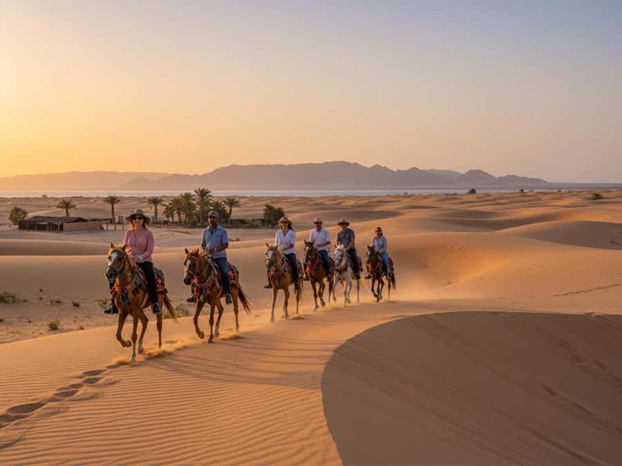 From Hurghada: Makadi Bay Horse Riding Tour - Picking the Right Option: 2 Hours, 4 Hours, Dinner Nights, or the Quad Combo