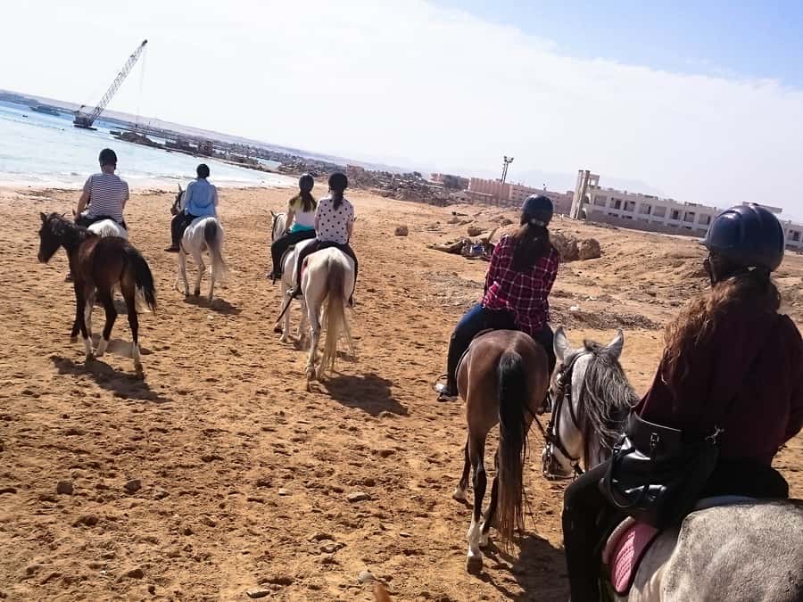 From Hurghada: Makadi Bay Horse Riding Tour - Before You Ride: Transfers, Meeting Point, and the First 15 Minutes