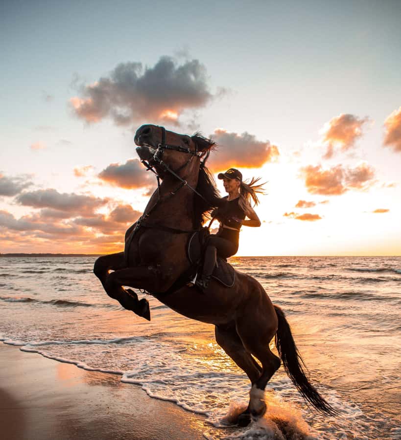 From Hurghada: Makadi Bay Horse Riding Tour - Helmets, Safety Checks, and How They Match You to the Right Horse