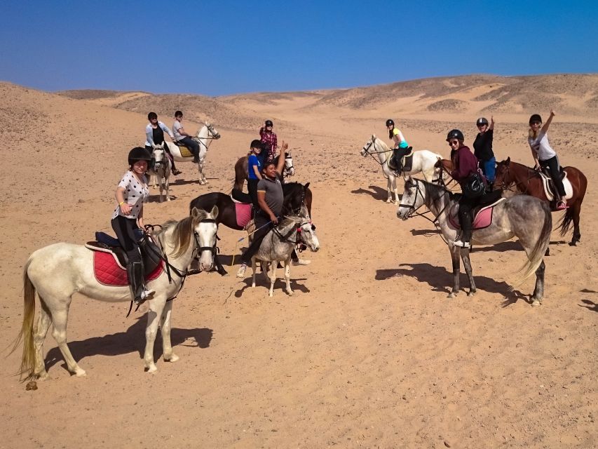 From Hurghada: Makadi Bay Horse Riding Tour - Sunset to Night: Dinner, Show, and Stargazing After the Ride