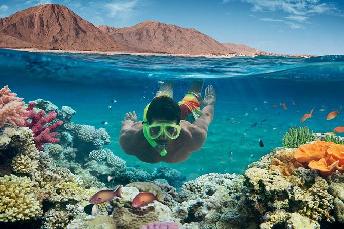 From Hurghada: Paradise Island Full-Day Snorkeling Tour - From Hurghada at 8:00 am to Paradise Island, the basic flow