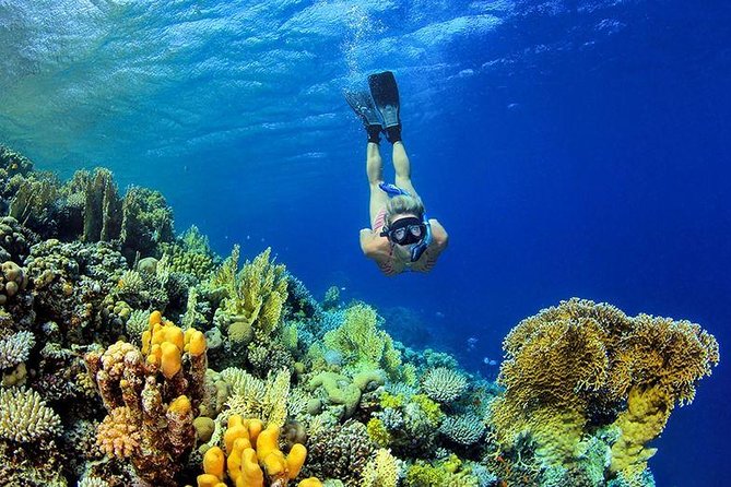 From Hurghada: Paradise Island Full-Day Snorkeling Tour - Safety and practical gear, what is included and what to bring