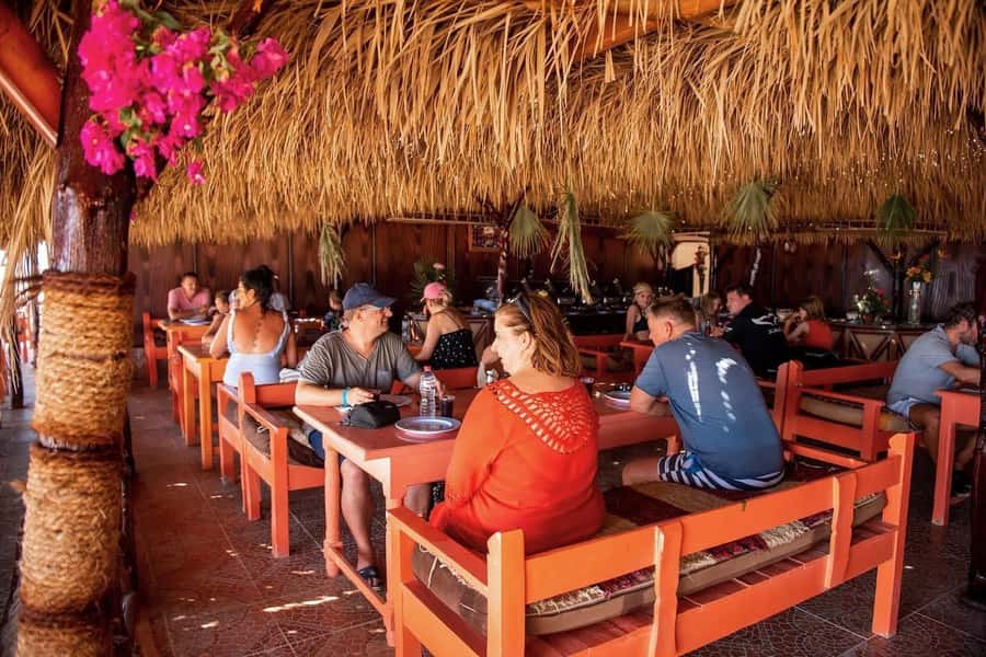 From Hurghada: Paradise Island Snorkeling Cruise with Lunch - Who should book this Paradise Island snorkeling cruise from Hurghada