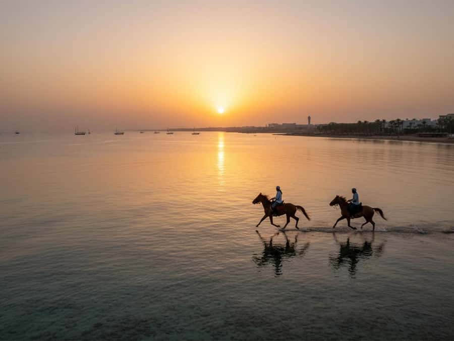 From Hurghada: Red Sea Sunrise and Desert Horseback Riding - Timing Matters: Sunrise for Breakfast Light, Sunset for Dinner and Stars