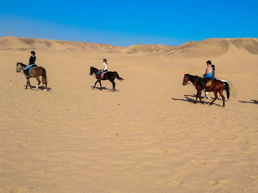 From Hurghada: Red Sea Sunrise and Desert Horseback Riding - What the First 30 Minutes Feel Like: Pickup, Arrival, and Getting Matched