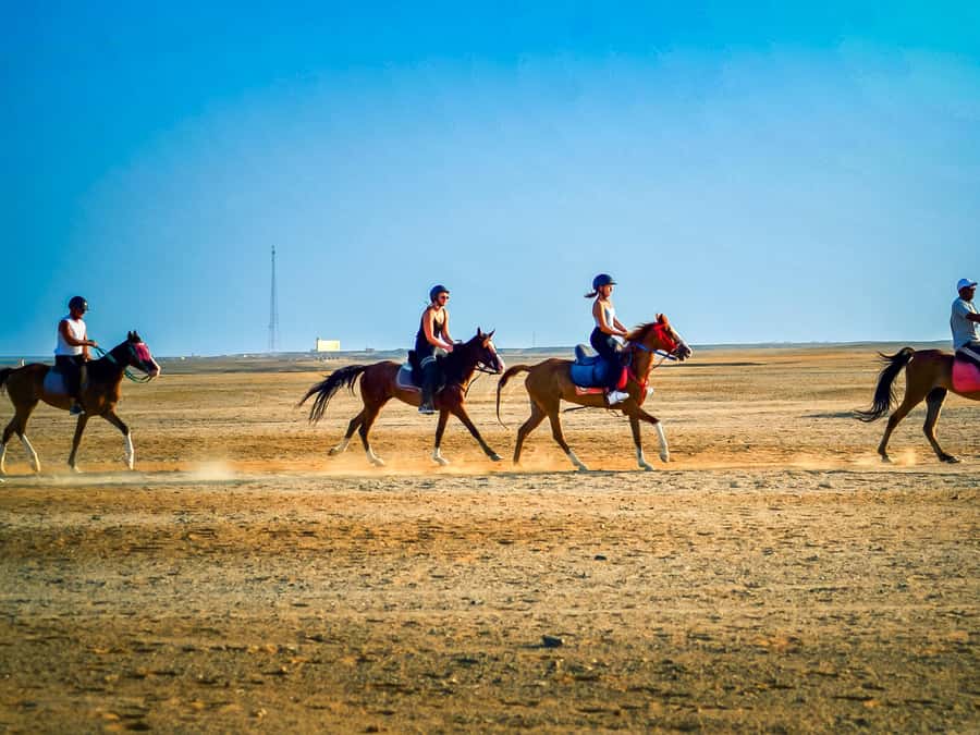 From Hurghada: Red Sea Sunrise and Desert Horseback Riding - The Two-Hour Horse Ride: Desert Sands, Sea Views, and Real Pace Control