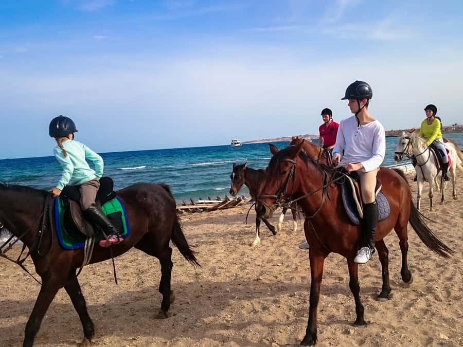 From Hurghada: Red Sea Sunrise and Desert Horseback Riding - VIP 4 Hours With a Swim Stop: What It Adds and Who It’s Best For