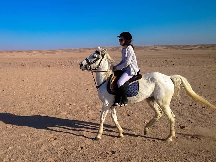 From Hurghada: Red Sea Sunrise and Desert Horseback Riding - What to Bring (and What to Skip) So the Ride Feels Easy