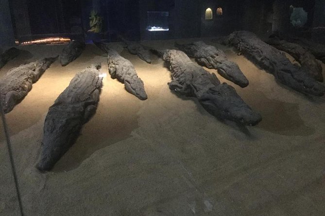 From Luxor: Private Day Trip to Edfu and Kom Ombo - How your Egyptologist guide turns Edfu into an actual story