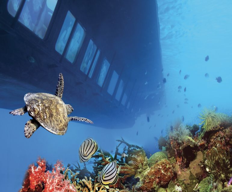 From Safaga: Royal Seascope Submarine with Snorkeling - Crew, safety, and how the group experience can feel