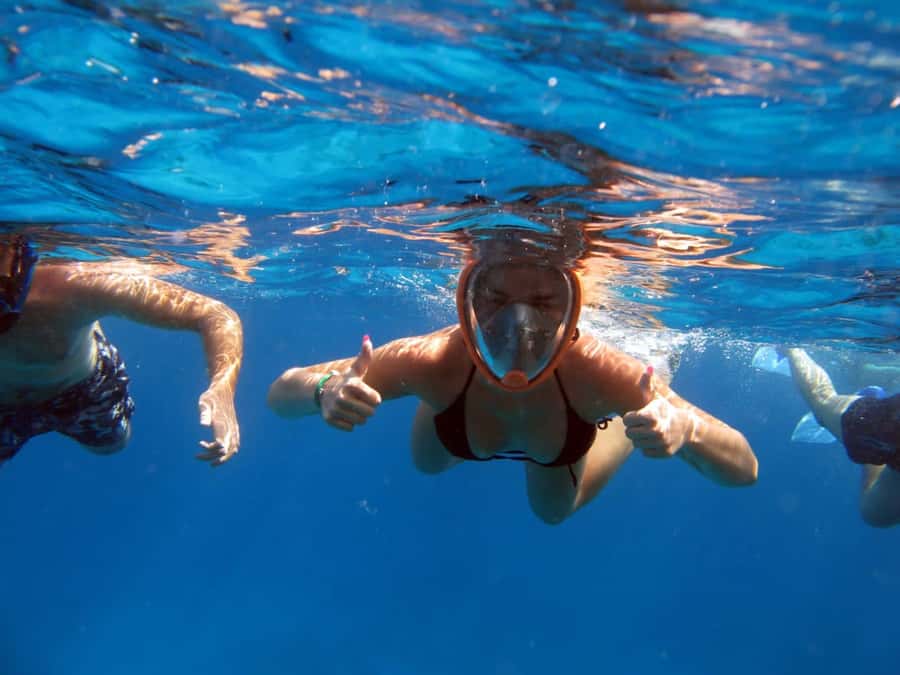 From Sharm: Half day Snorkeling Trip with Lunch - First stop: Watanya Marina, then out to the reefs