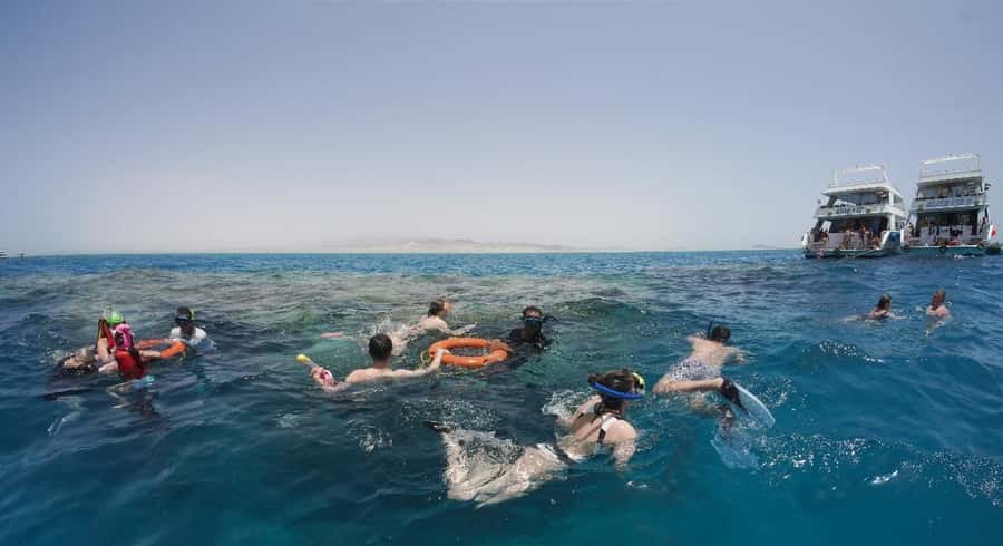 From Sharm: Half day Snorkeling Trip with Lunch - Lunch on board: buffet food that doesn’t feel like an afterthought