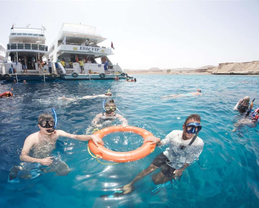 From Sharm: Half day Snorkeling Trip with Lunch - Price and value: what you’re paying for