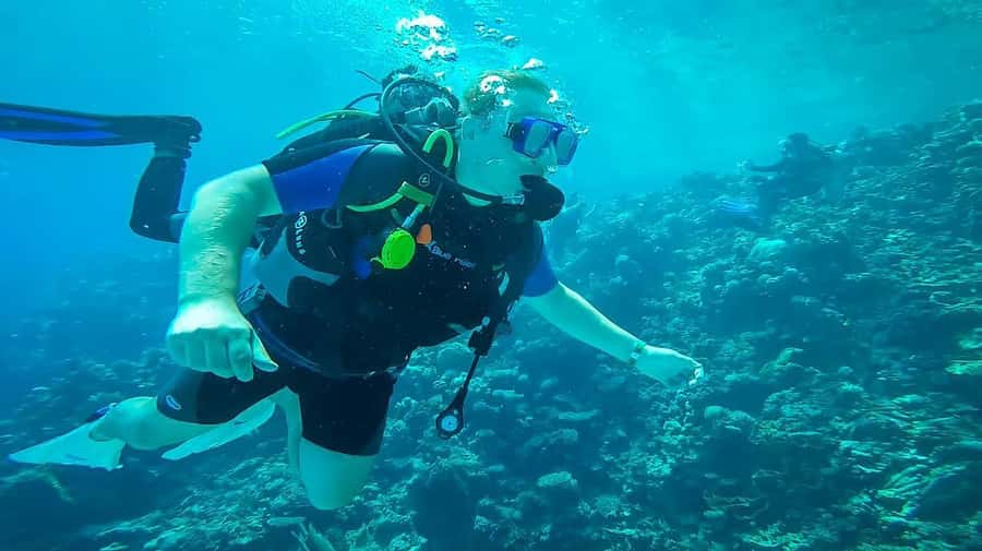 From Sharm: Luxury Diving cruise to Ras Mohammed with Lunch - Lunch Onboard: Food, Drinks, and Getting Your Energy Back