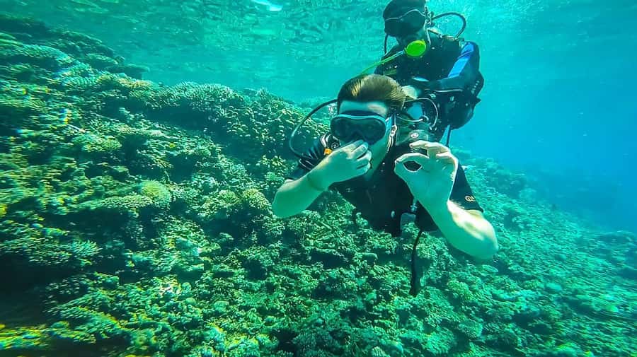 From Sharm: Luxury Diving cruise to Ras Mohammed with Lunch - Who Should Book, and Who Should Skip