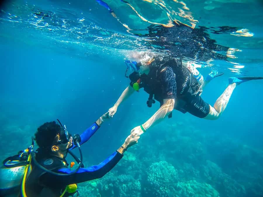 From Sharm: Luxury Diving cruise to Ras Mohammed with Lunch - The Yacht Ride: Time, Views, and Calm Before the Water