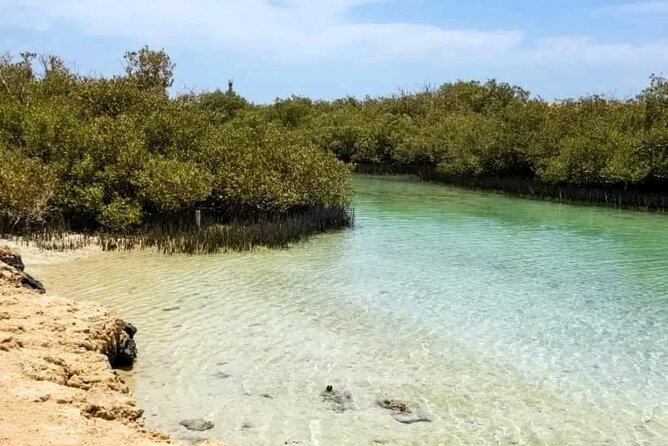 From Sharm: Ras Mohamed National Park and Magic Lake Day Tour - Price, Group Size, and Timing Tips for Real Value