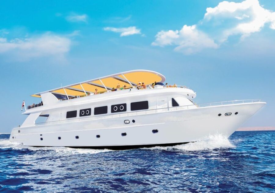 From Sharm: Ras Mohammed Cruise with Island Visit and Lunch - Snorkeling gear and what you should check before you go