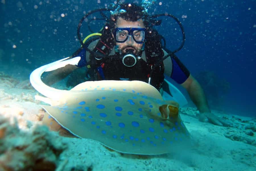 From Sharm: Ras Mohammed snorkeling cruise & optional diving - Optional scuba session and choosing your comfort level