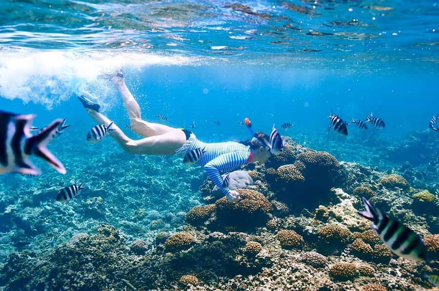 From Sharm: Ras Mohammed snorkeling cruise & optional diving - Ras Mohammed National Park: where the cruise earns its name