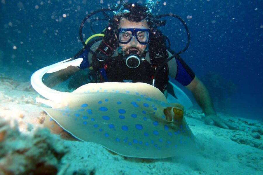From Sharm: Ras Mohammed snorkeling cruise & optional diving - White Island and tide conditions, the part you should not ignore