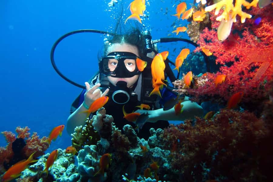 From Sharm: Ras Mohammed snorkeling cruise & optional diving - Sailing time, seasickness, and how to stay comfortable